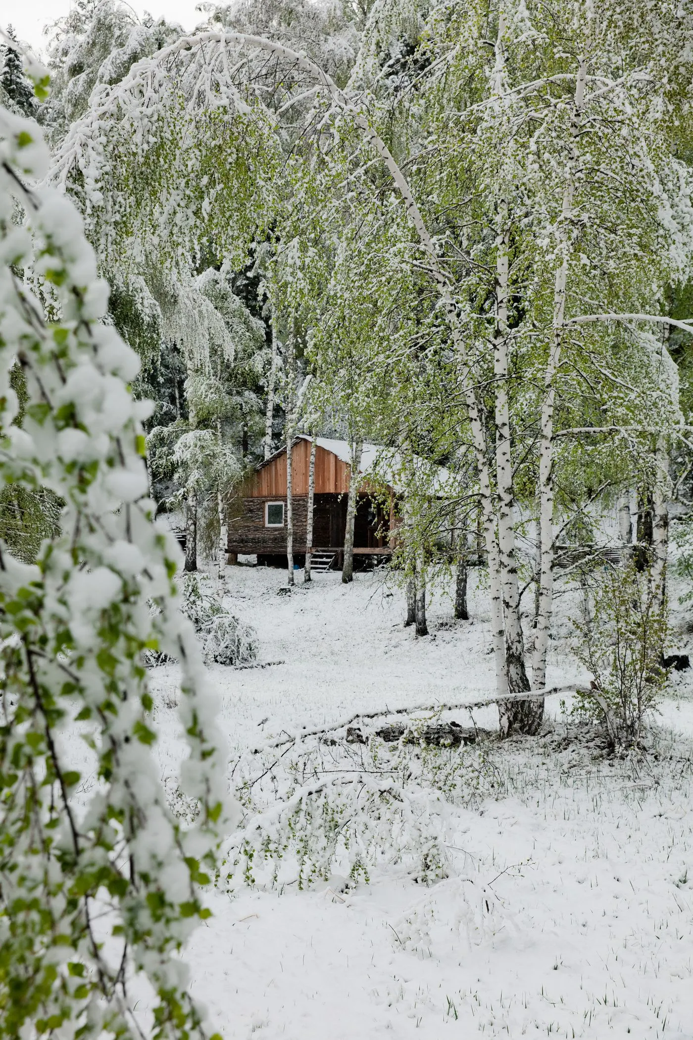 An outdoor sauna in a deep-cold snowy landscape