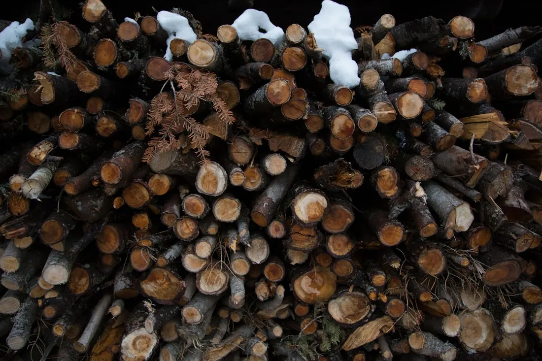 A stack of firewood stored for a winter sauna